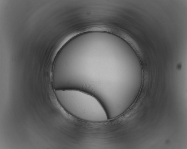 X0000093450852200710121004