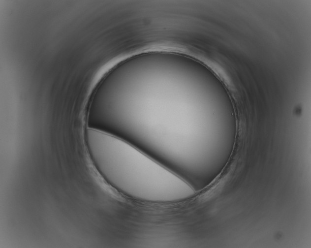 X0000093450854200710121004