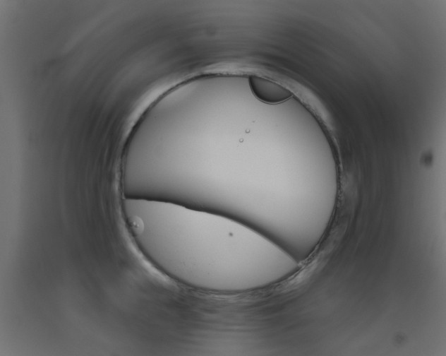 X0000093450855200710121004