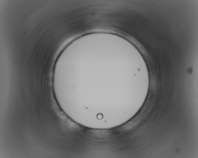 X0000093450856200710121004