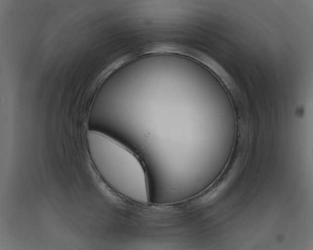 X0000093450857200710121004