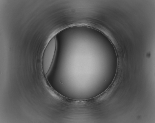 X0000093450858200710121004