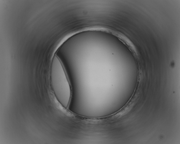 X0000093450860200710121004