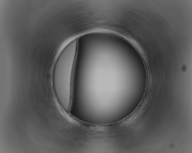 X0000093450862200710121004