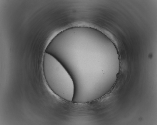 X0000093450863200710121004