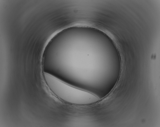 X0000093450864200710121004