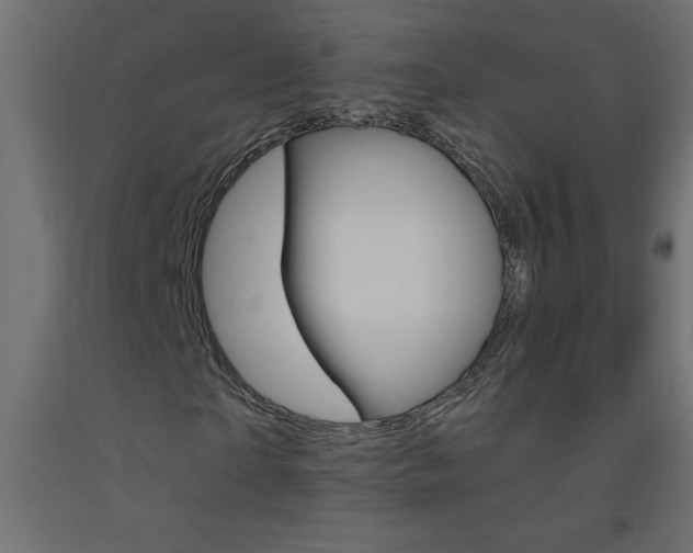 X0000093450865200710121004