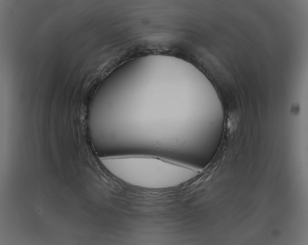 X0000093450867200710121004