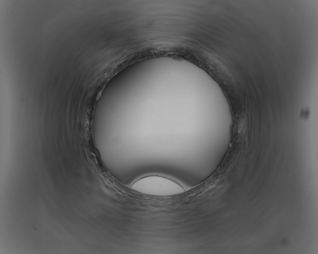 X0000093450868200710121004