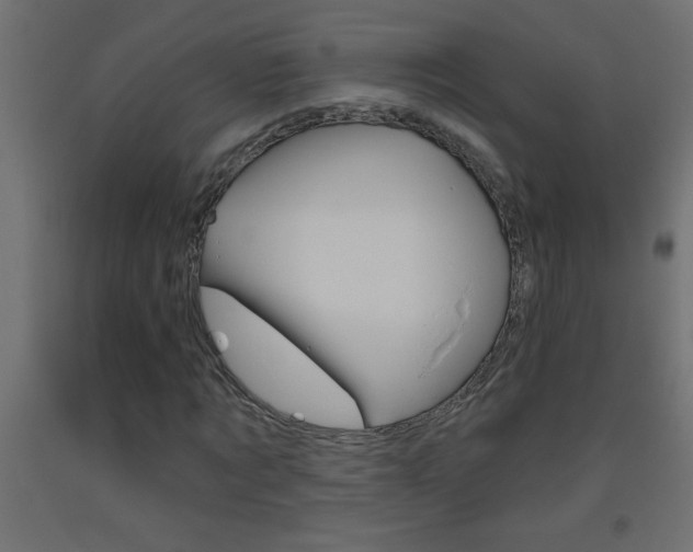 X0000093450869200710121004