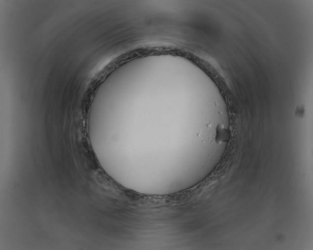 X0000093450871200710121004