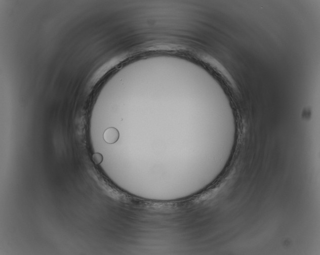 X0000093450874200710121004