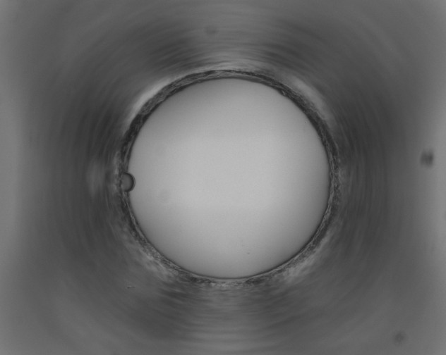 X0000093450875200710121004