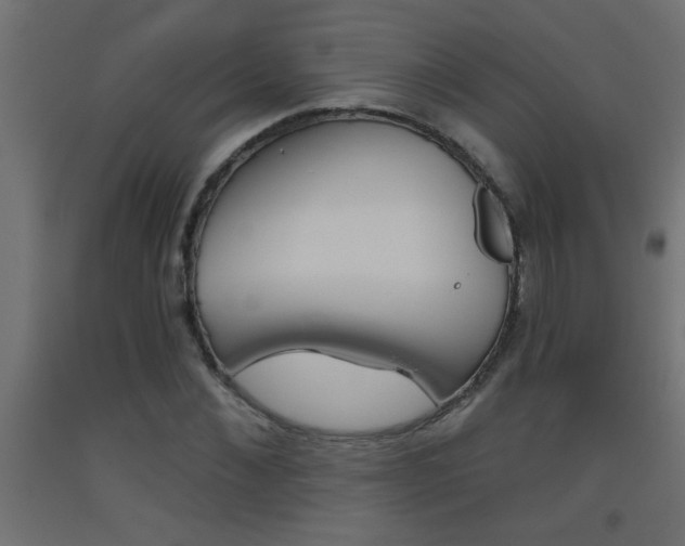X0000093450876200710121004