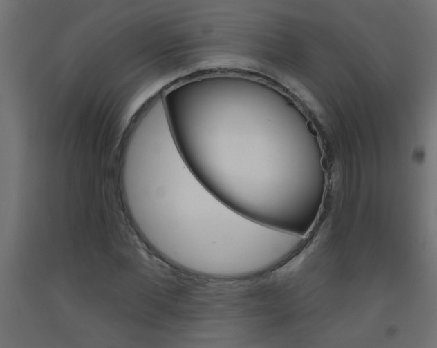 X0000093450877200710121004