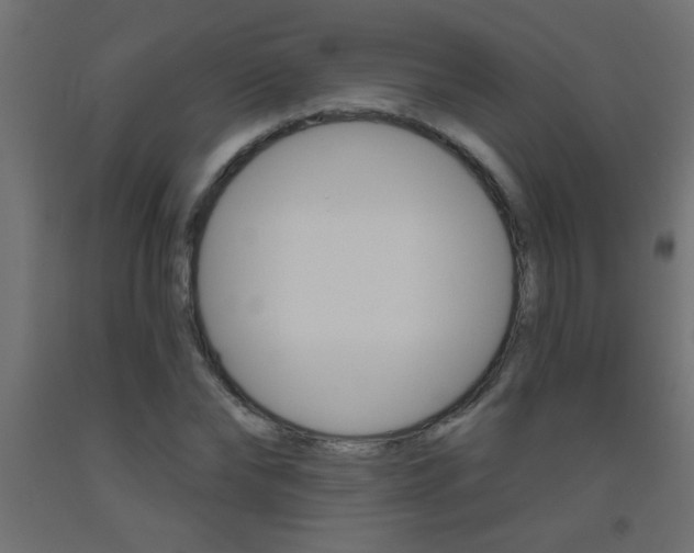 X0000093450878200710121004