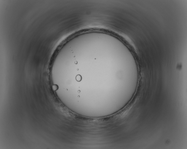 X0000093450879200710121004