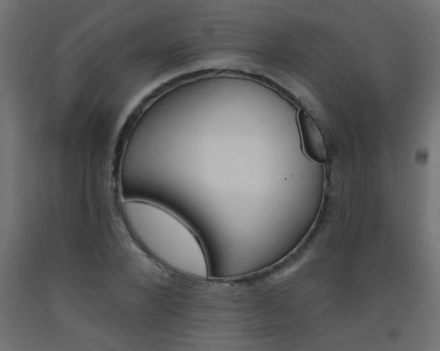 X0000093450880200710121004