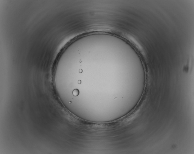 X0000093450883200710121004