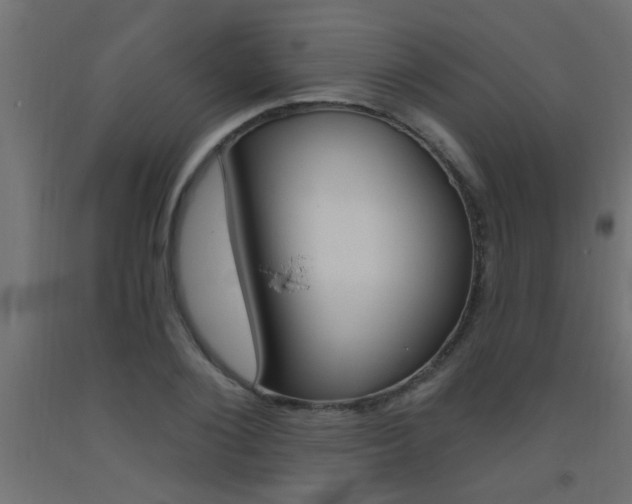 X0000093450884200710121003