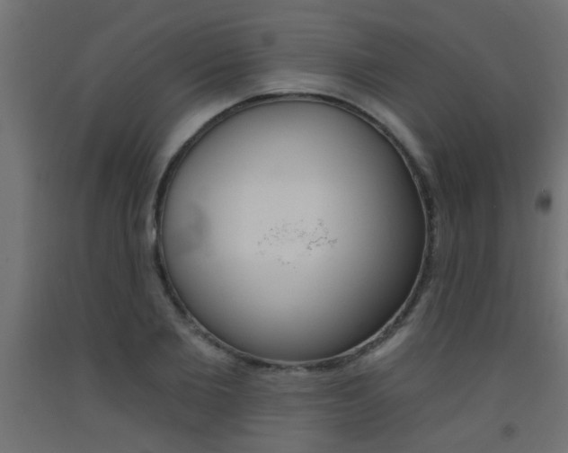 X0000093450885200710121003
