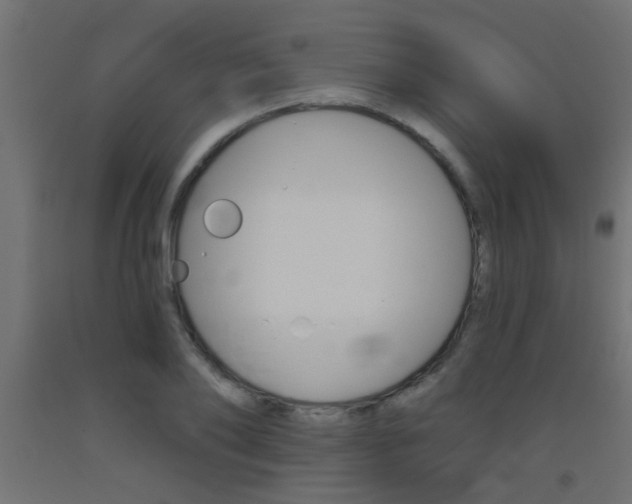 X0000093450886200710121003