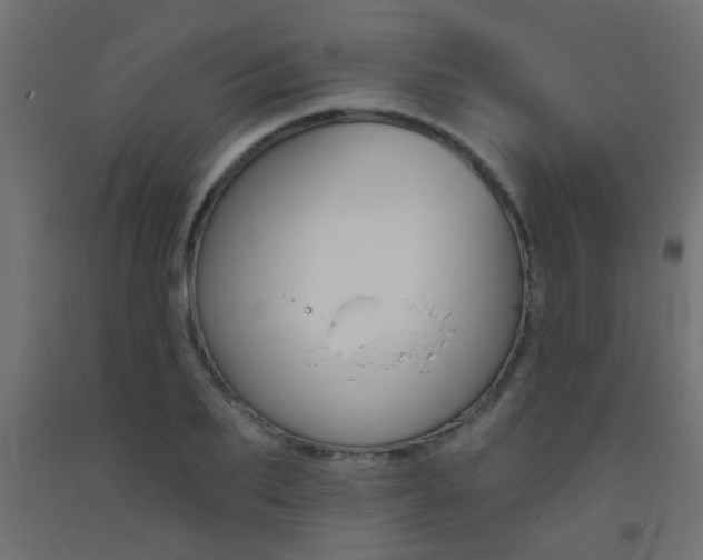 X0000093450887200710121003