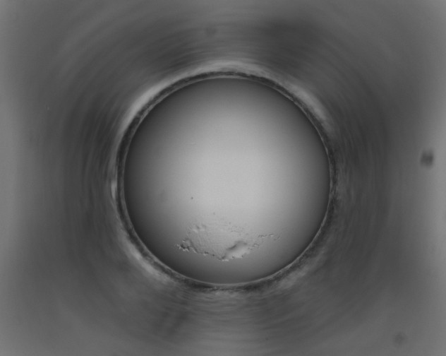 X0000093450888200710121003