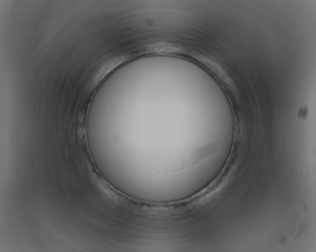 X0000093450889200710121003