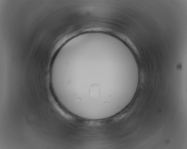 X0000093450890200710121003