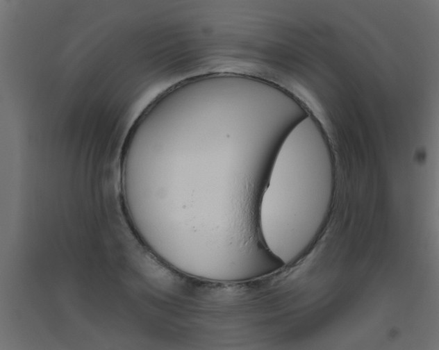 X0000093450891200710121003