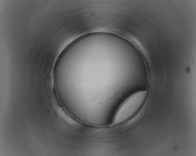 X0000093450892200710121003