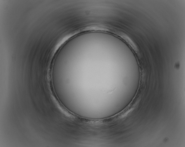 X0000093450893200710121003