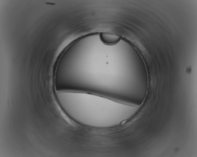 X0000093450894200710121003