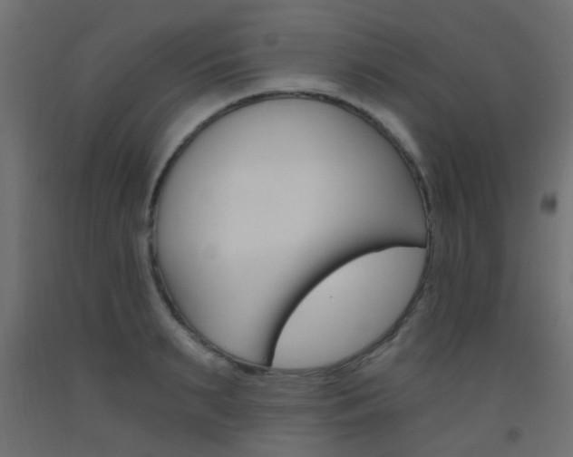X0000093450895200710121003