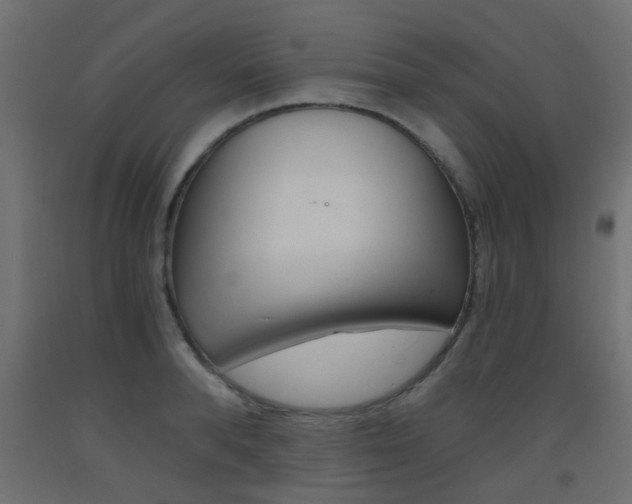 X0000093450896200710121003
