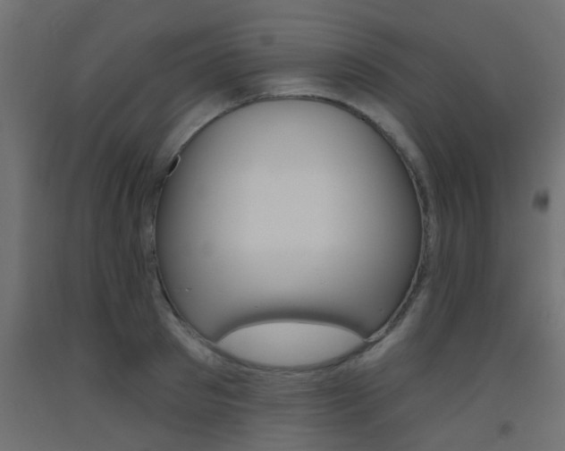 X0000093450897200710121003