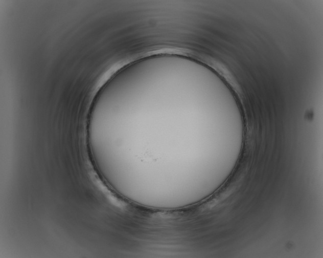 X0000093450898200710121003