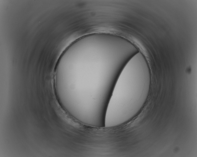 X0000093450899200710121003