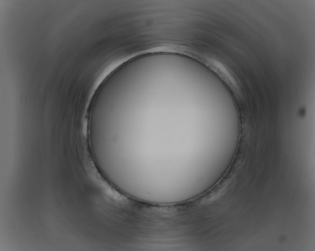 X0000093450900200710121003