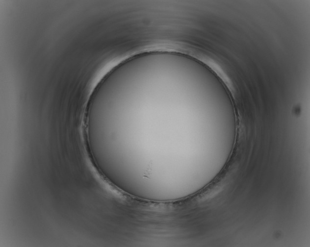 X0000093450901200710121003