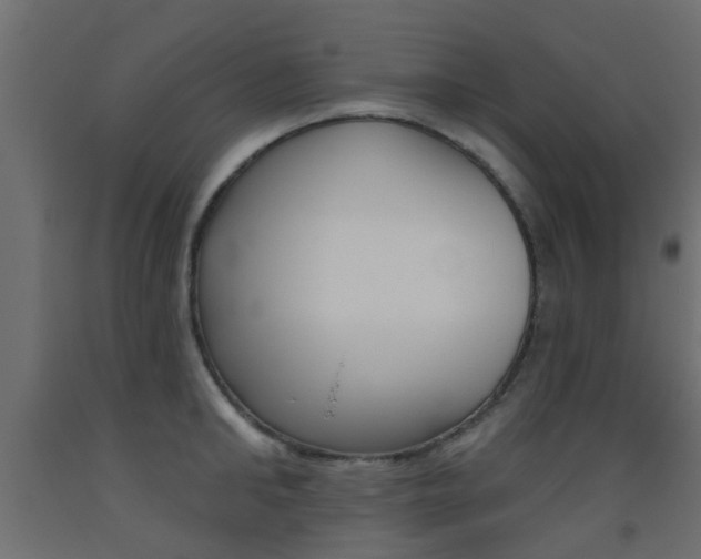 X0000093450902200710121003