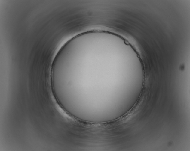 X0000093450903200710121003