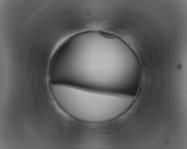 X0000093450904200710121003