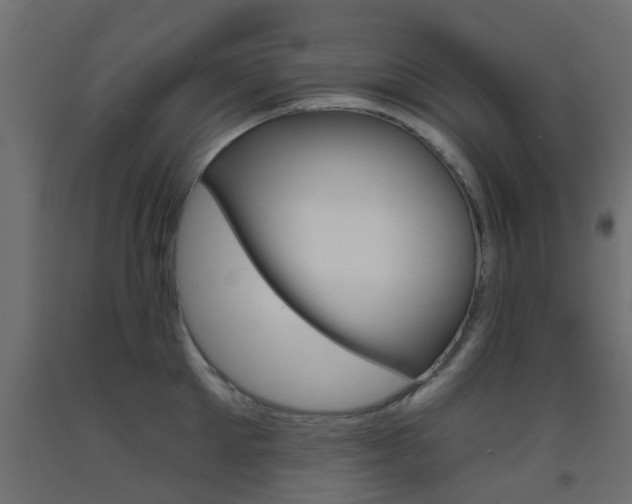 X0000093450905200710121003