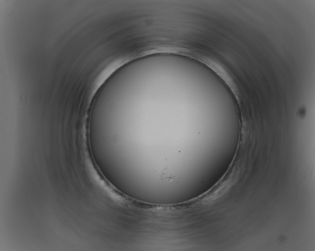 X0000093450906200710121003