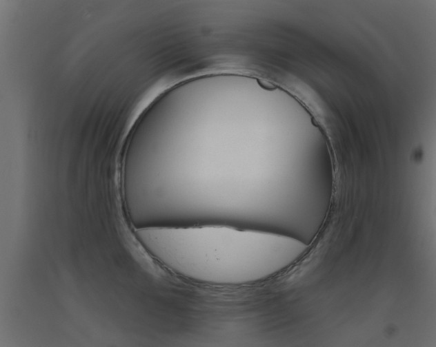 X0000093450907200710121003
