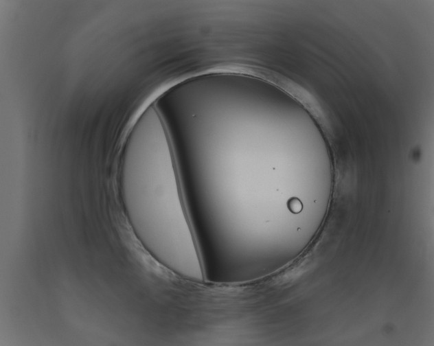 X0000093450908200710121003