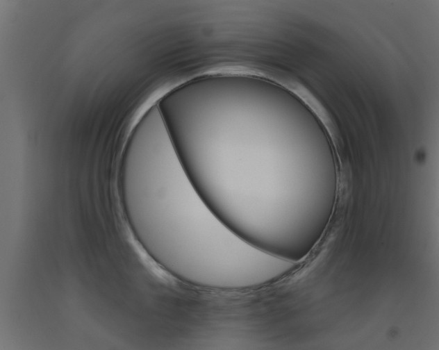 X0000093450909200710121003