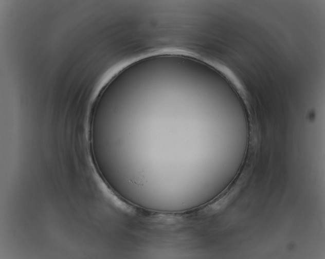 X0000093450910200710121003